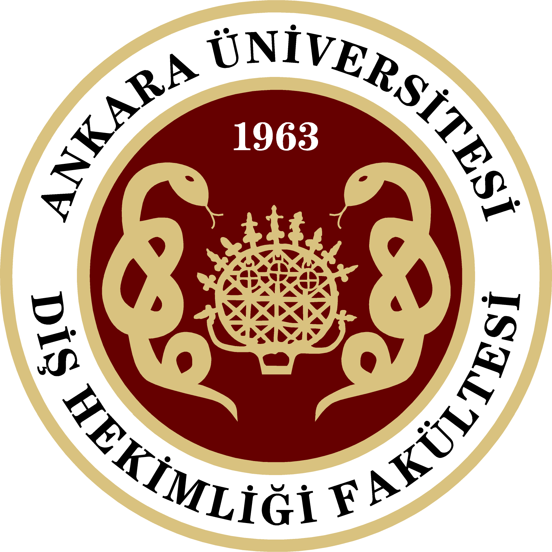 Web Tasarım